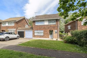 Photo 3- click for photo gallery